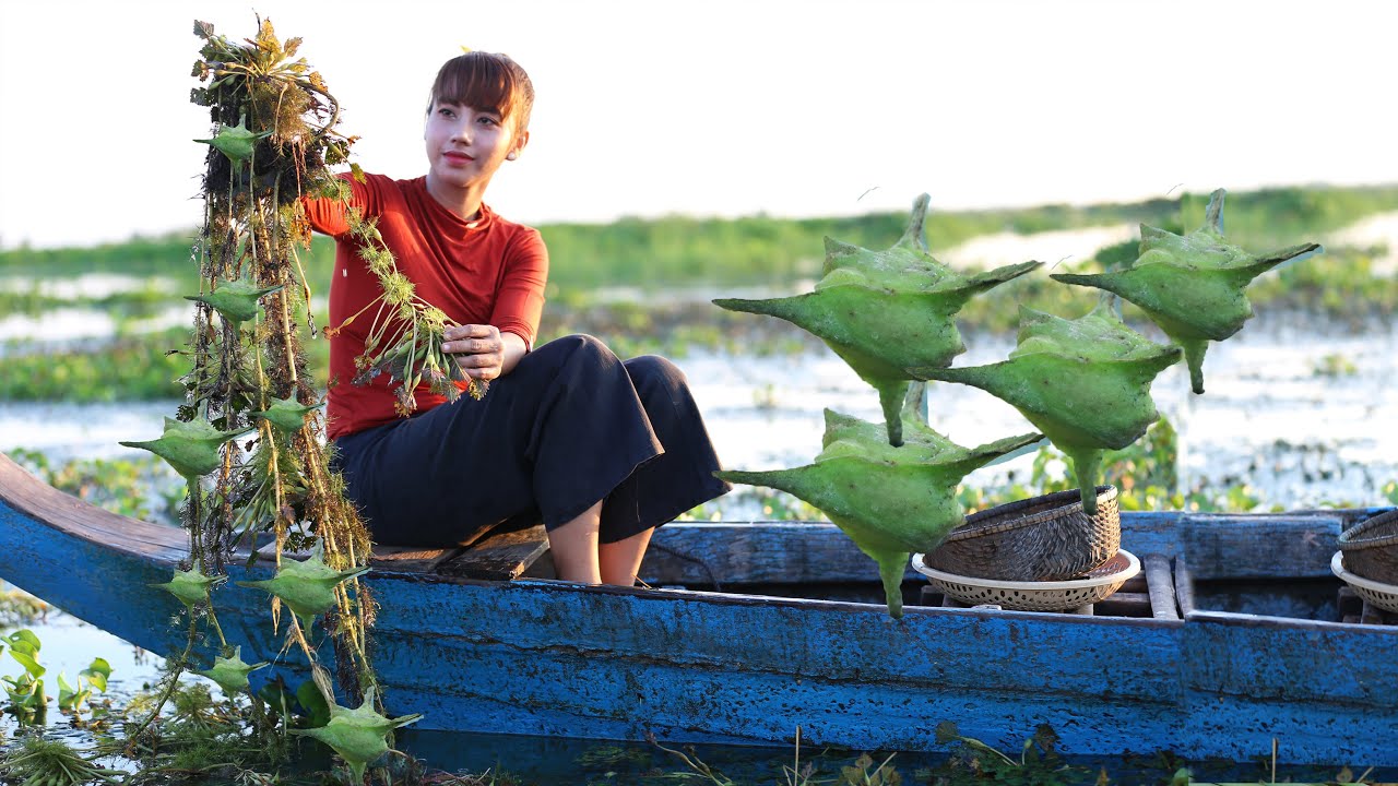 Have you aver seen this fruit in your country? - Water caltrop fruit