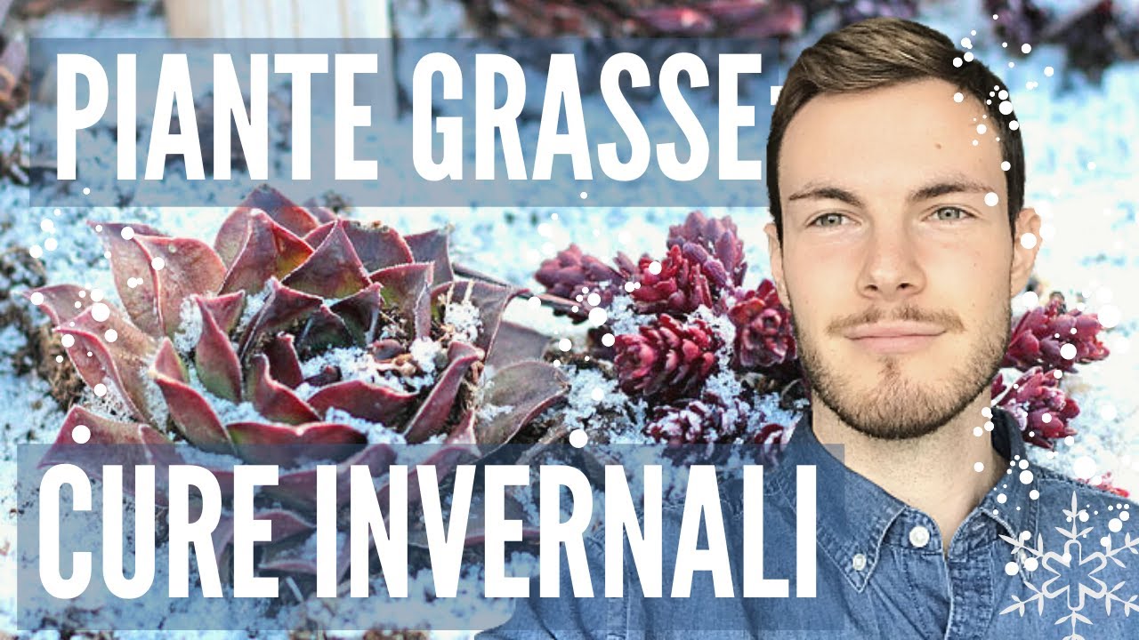 PIANTE GRASSE: CURE INVERNALI