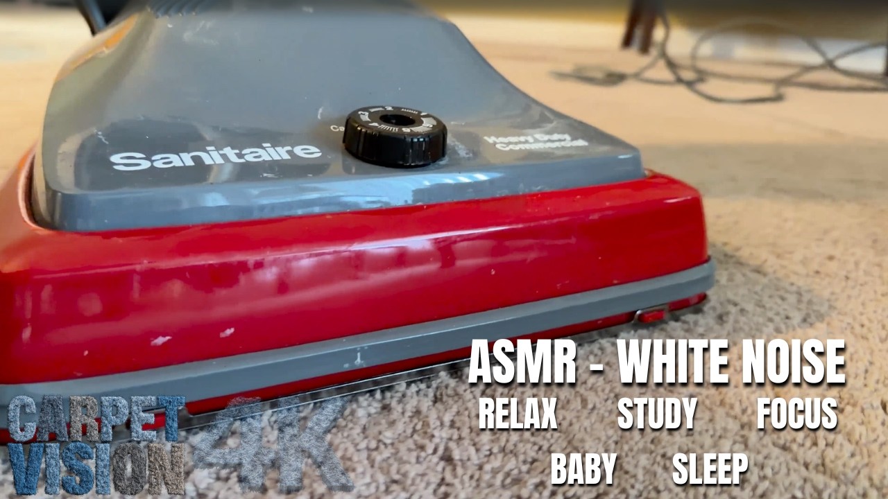 ASMR Carpet Cleaning | Customer Needed a REAL Cleaning This Time (Sleep Now)