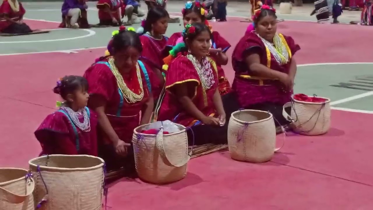 Tradicional Ritual de Boda Triqui en El Rastrojo Copala 2025. Parte 1.