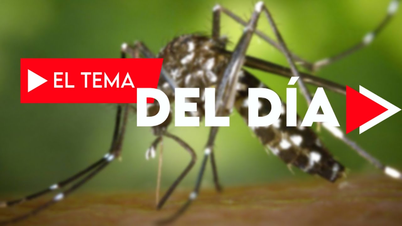 Tema del D&iacute;a - mi&eacute;rcoles 26 de agosto