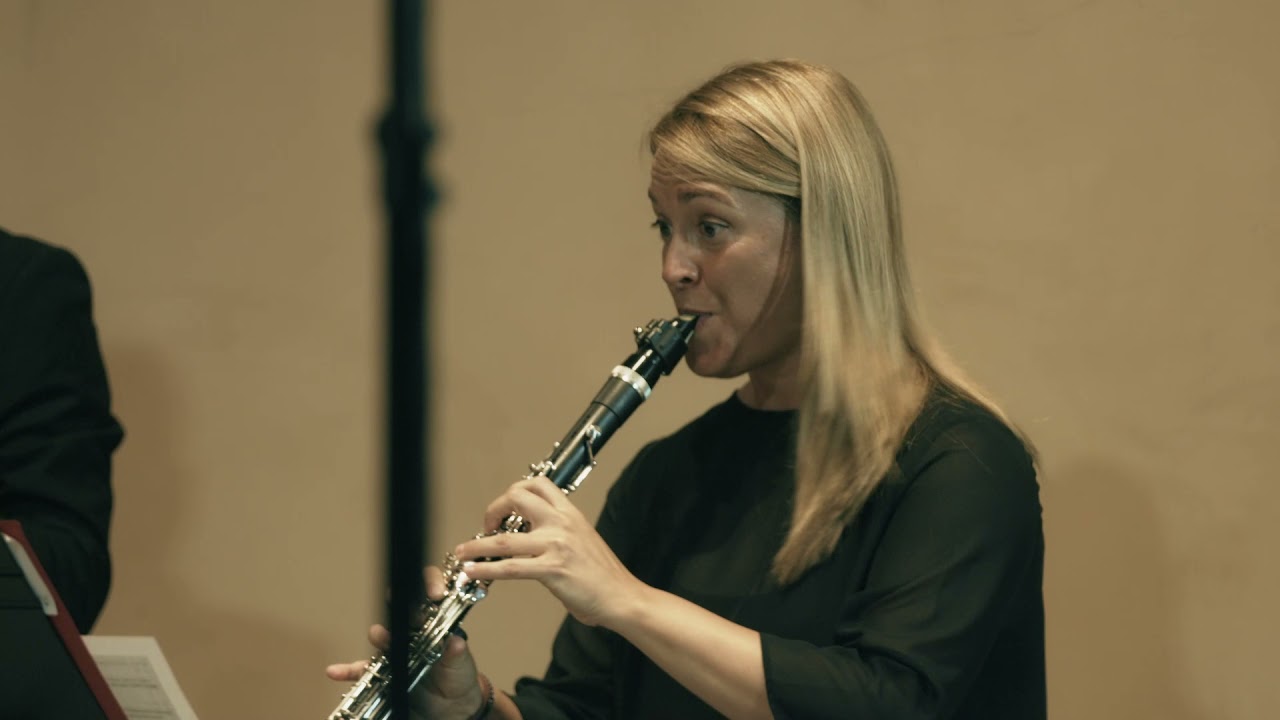 Don Giovanni - W. A. Mozart (J. Triebensee) - ACT I | DeltaChamber Music Festival 2021