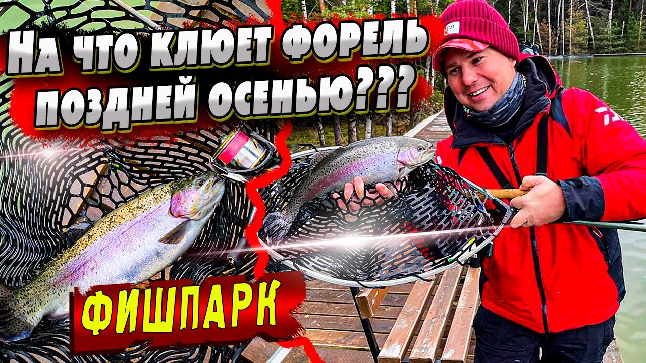 Фишпарк в Алмазово | Платник | Ловля форели на силиконовые приманки