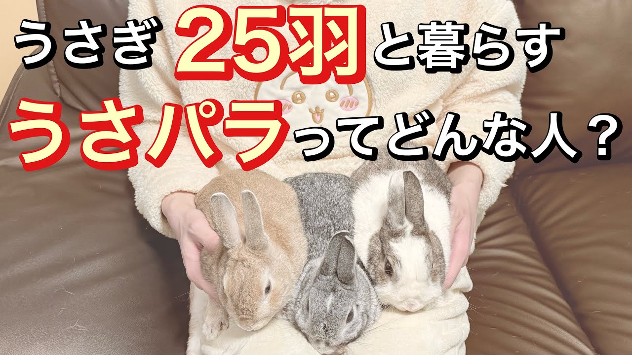 【自己紹介】うさぎ25羽と暮らす『うさパラ』｜これから話していく知識の前に
