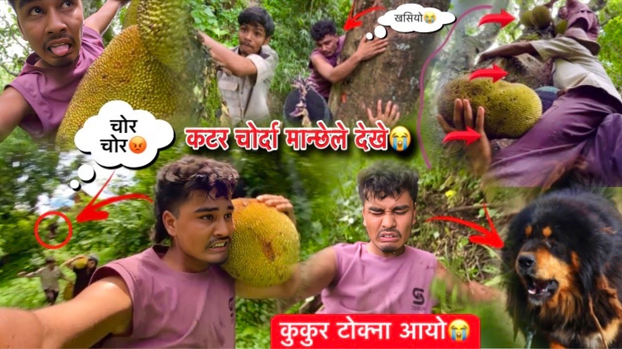 कटर चोर्दा मान्छेले देखे😭!!कुकुर ले यस्तो गर्यो😭🐶!!रुखबाट खसियो😭😭!!SURAJ NEPALI VLOG