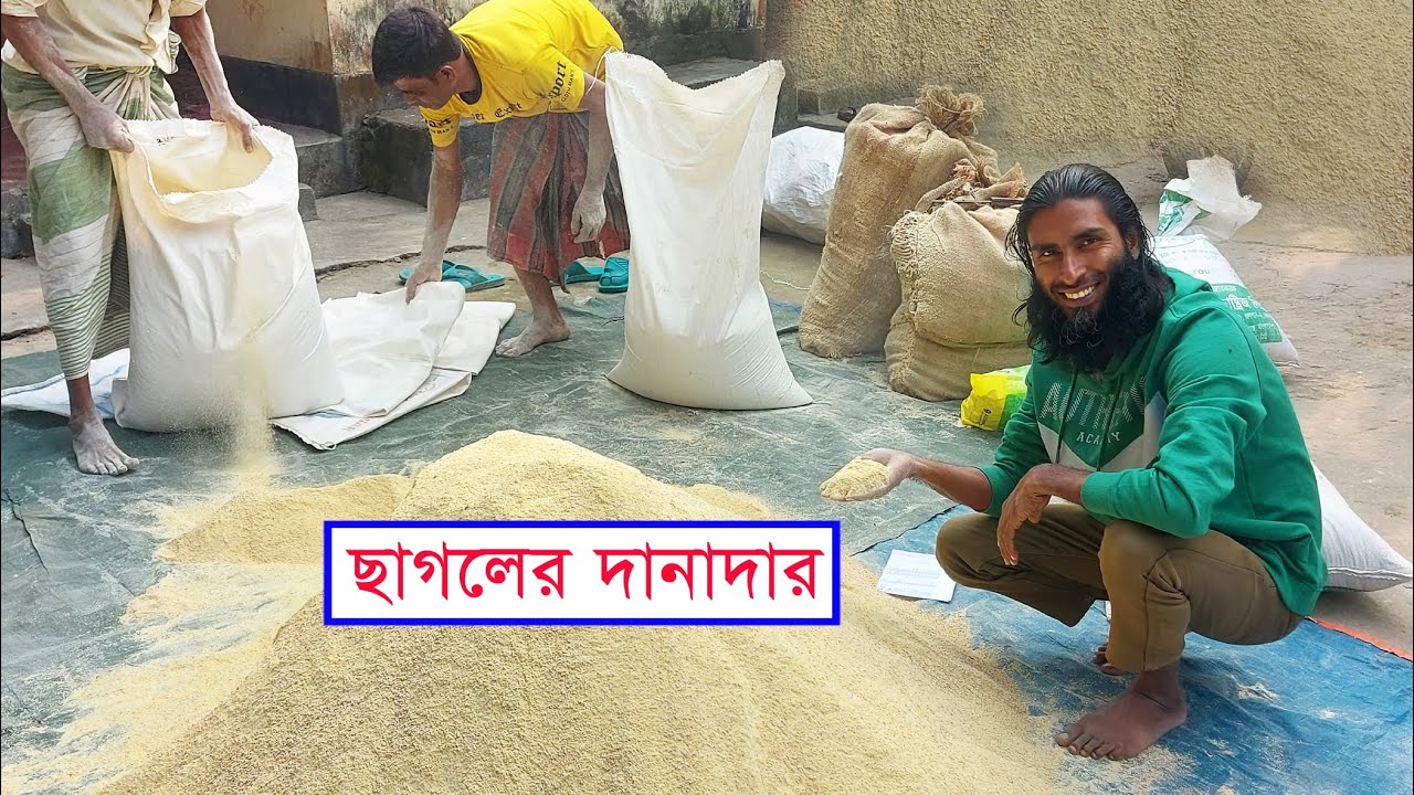 আমাদের খামারে ছাগলের দানাদার খাবার যেভাবে বানাই || Goats ration