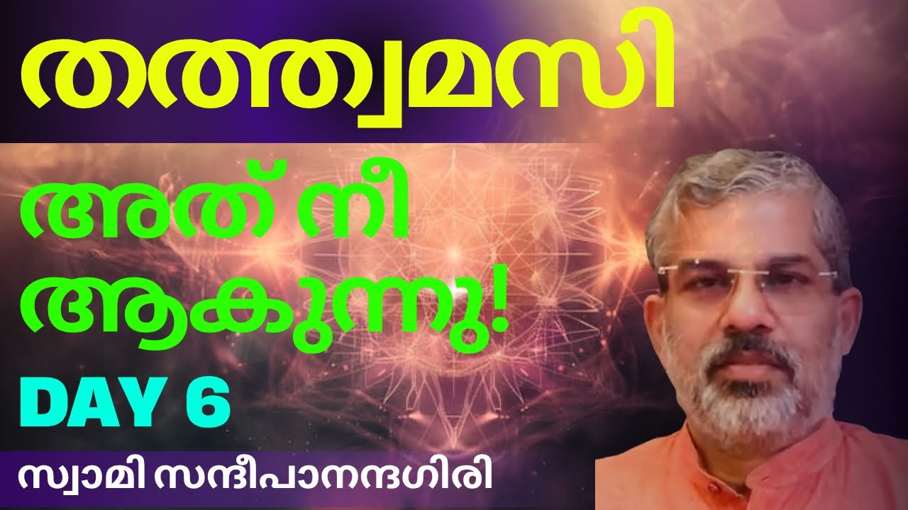 Day 06 | തത്ത്വമസി മഹാവാക്യ വിചാരം | Swami Sandeepananda Giri 