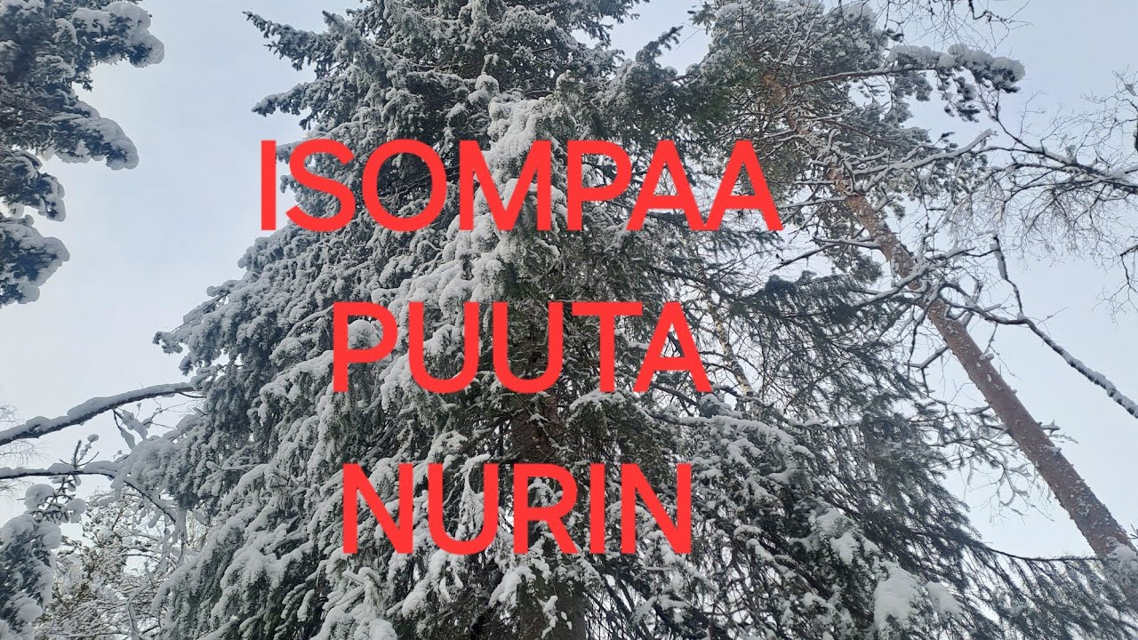 ISOMPI PUU NURIN, Pientä varustelua
