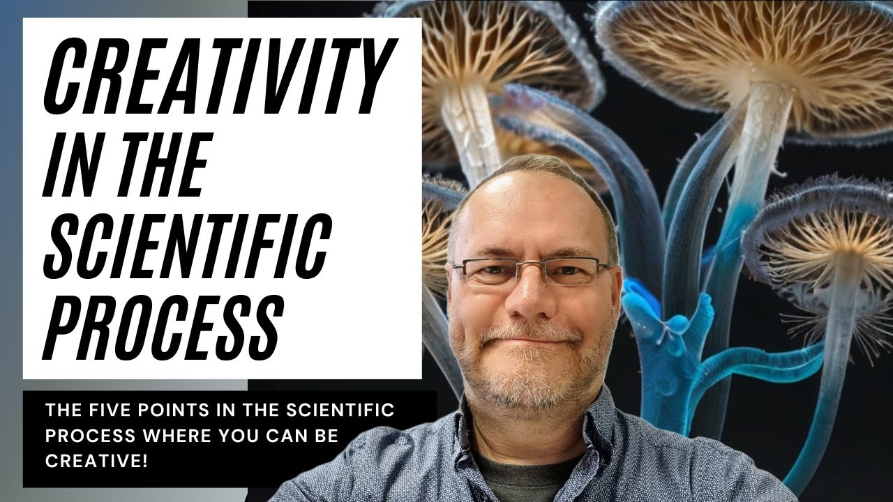 Creativity in the scientific process: the 5 points where you can be creative. 