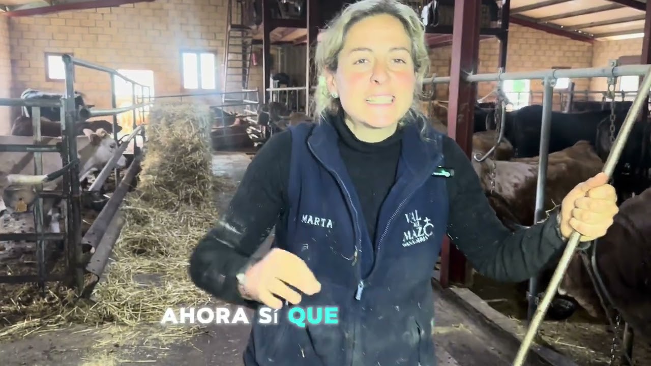 ‼️BRUTAL‼️la suelta del ganado de las cuadras de invierno ‼️