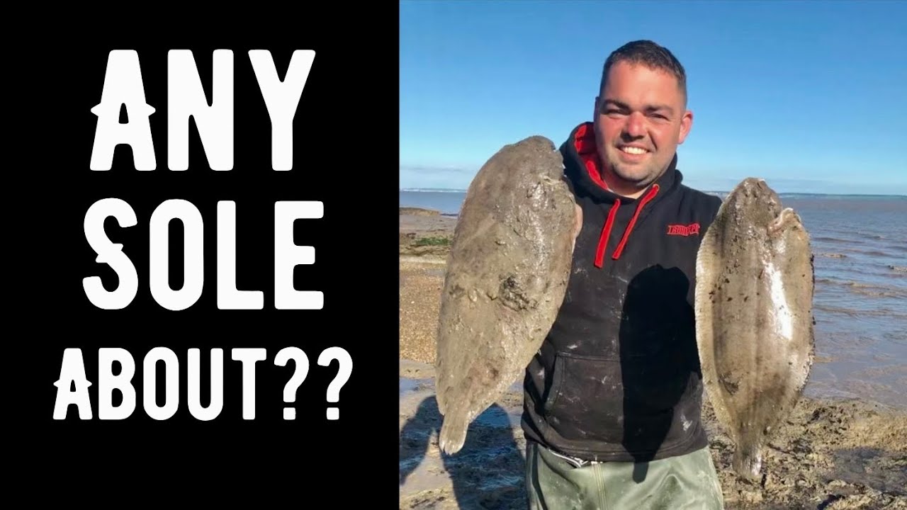 Any Sole About???