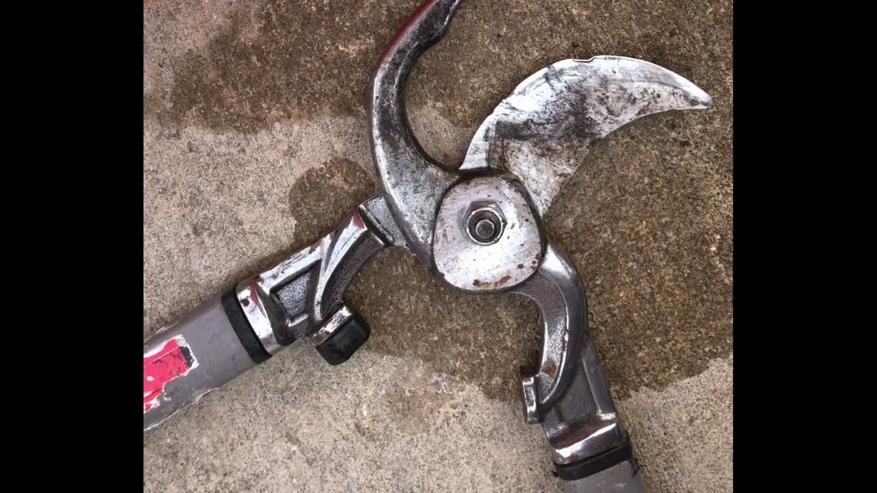 Lopper Sharpening