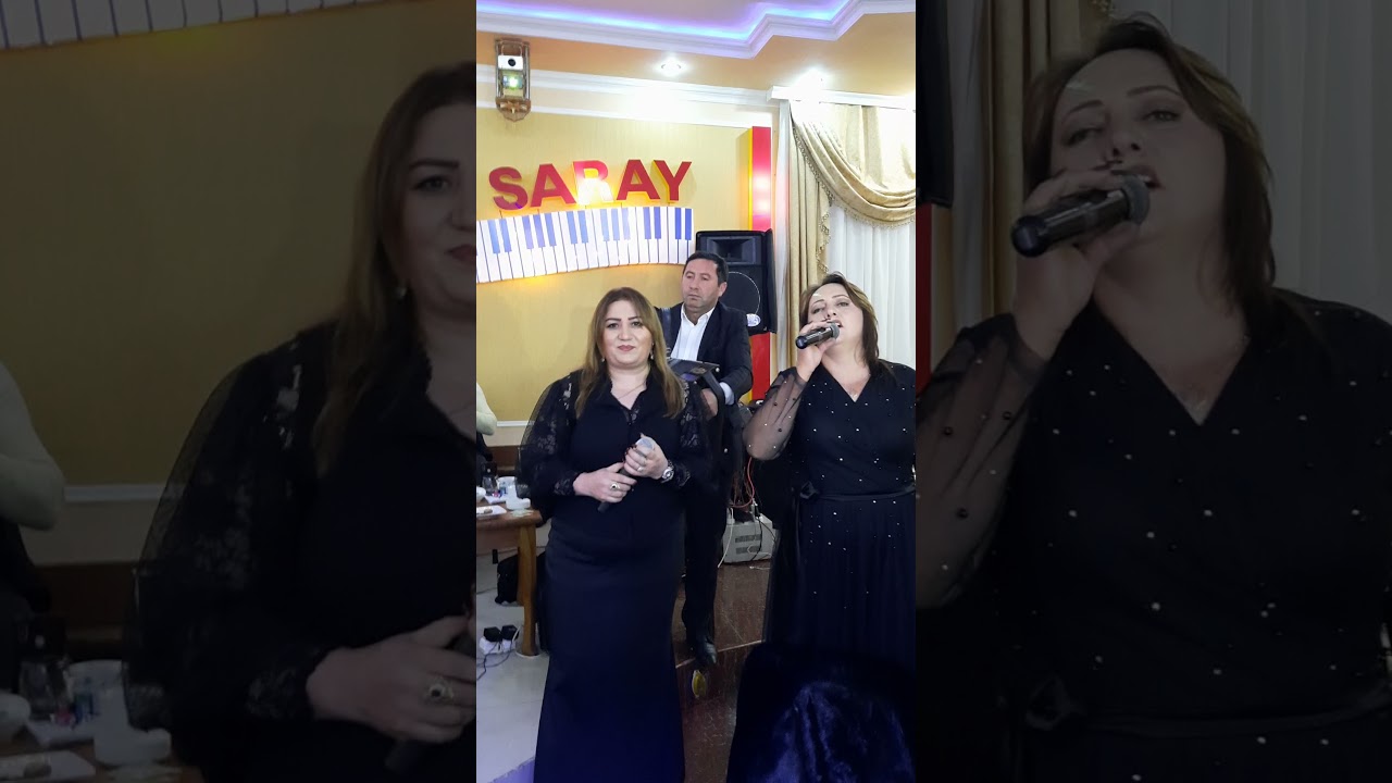 Gedebey Toyu. Sevil  Gedebeyli Asude Sinixli