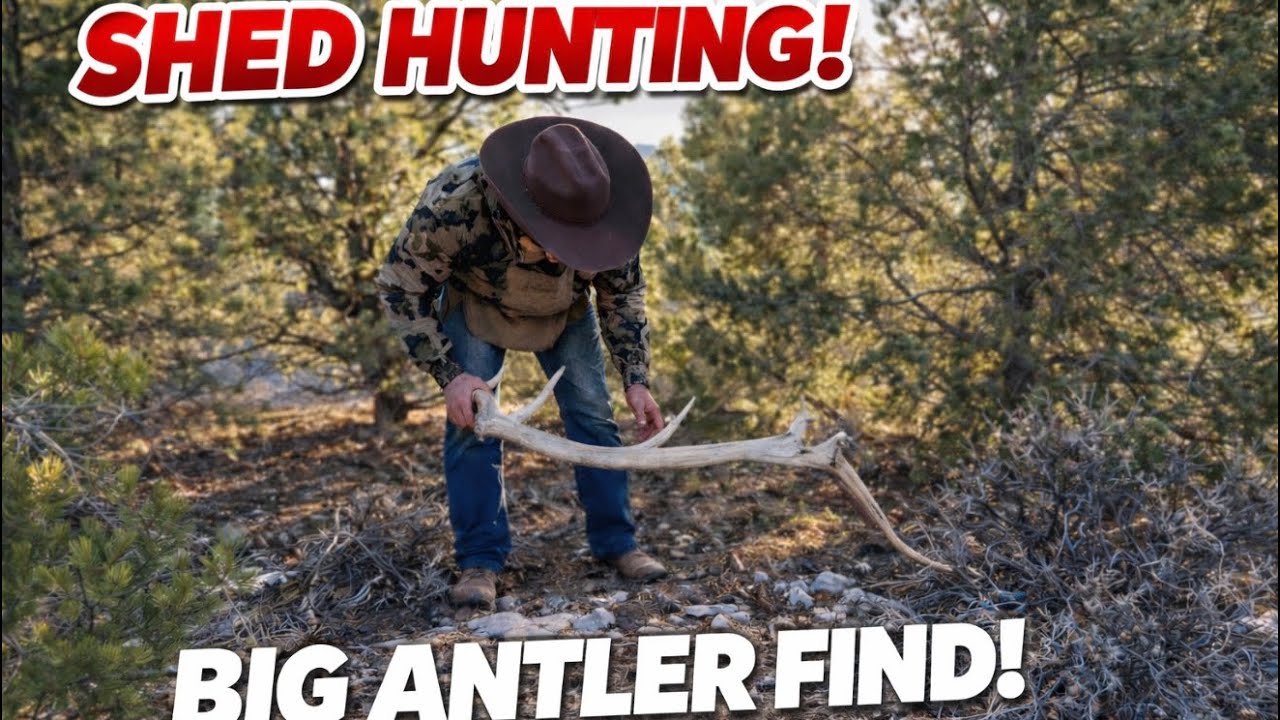 Riding Horses & Finding Big Elk Sheds