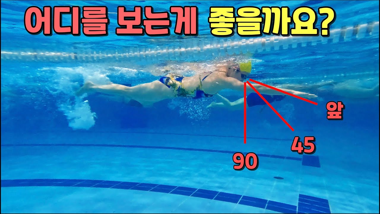 시선을 어떻게 해야 하는지 궁금했죠? / 자유형