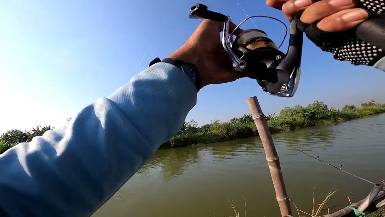 MANCING DI SUNGAI BLORONG hari jum'at berkah  dapat ikan kakap berlogo sni