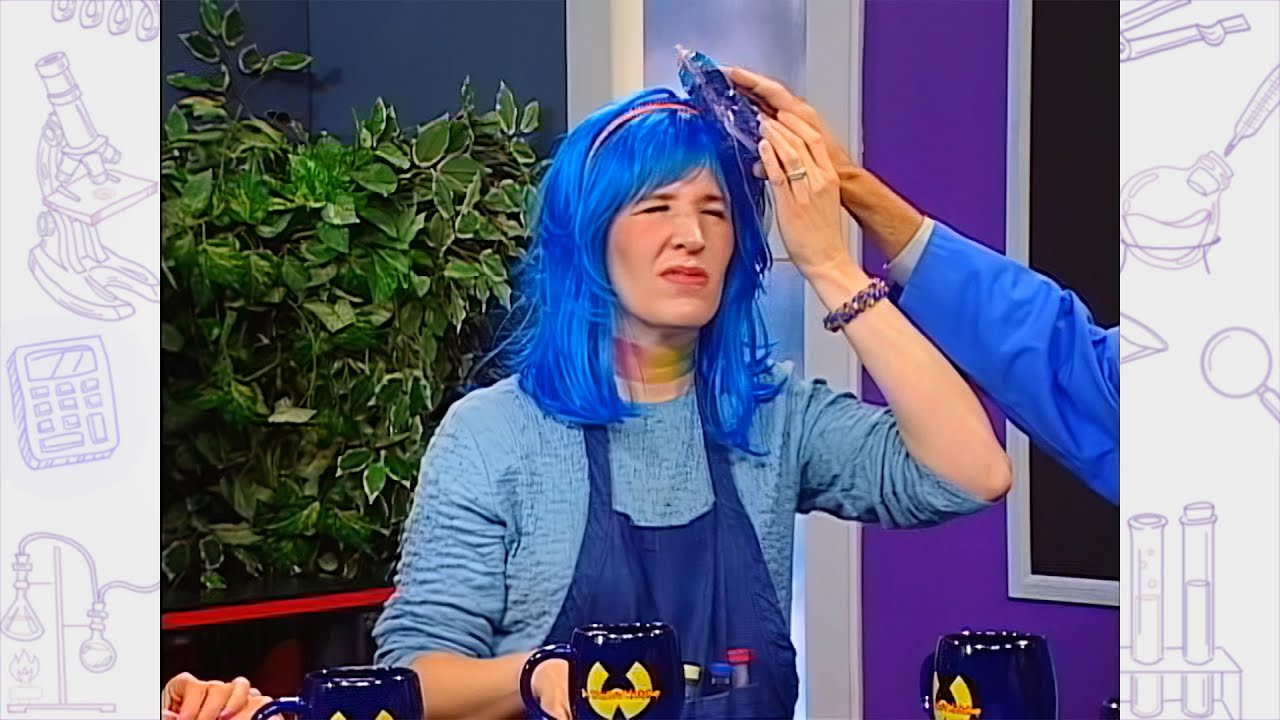 Dr Wonder's Workshop (ASL) | Season 3 | Episode 11 | Use Positive Language | David O. Reynolds