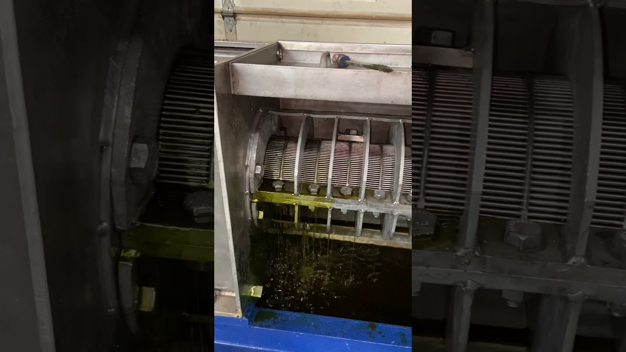 Hemp Processing screw press for CBD oil Extraction