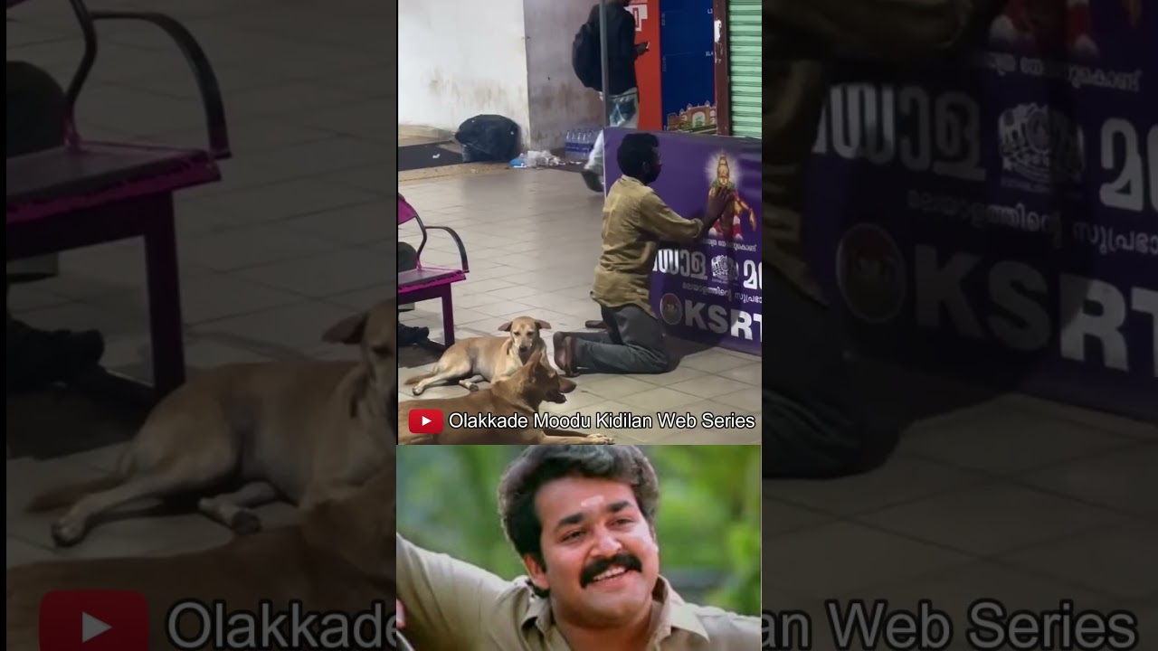 വളരെ മനോഹരമായ ഒരു കാഴ്ച്ച 🥰 