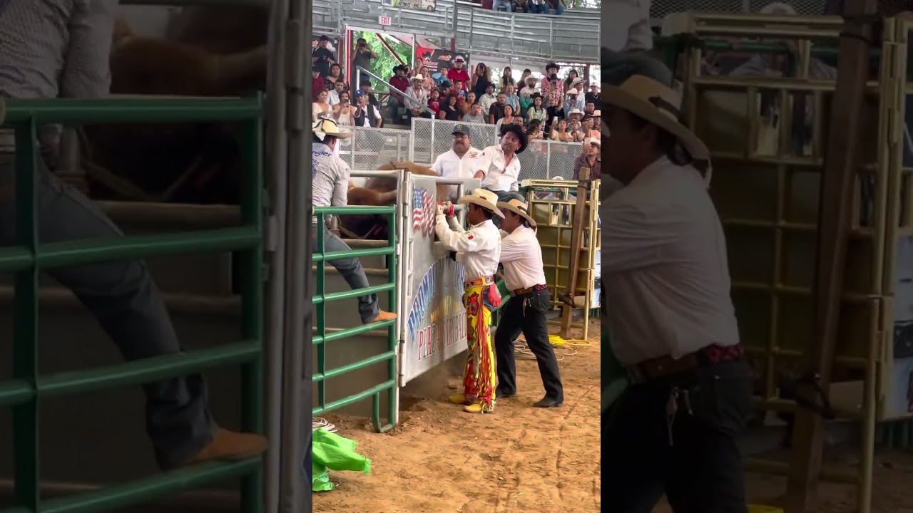 Jinete Pichis de Puebla en Monumental Plaza Garibaldi
