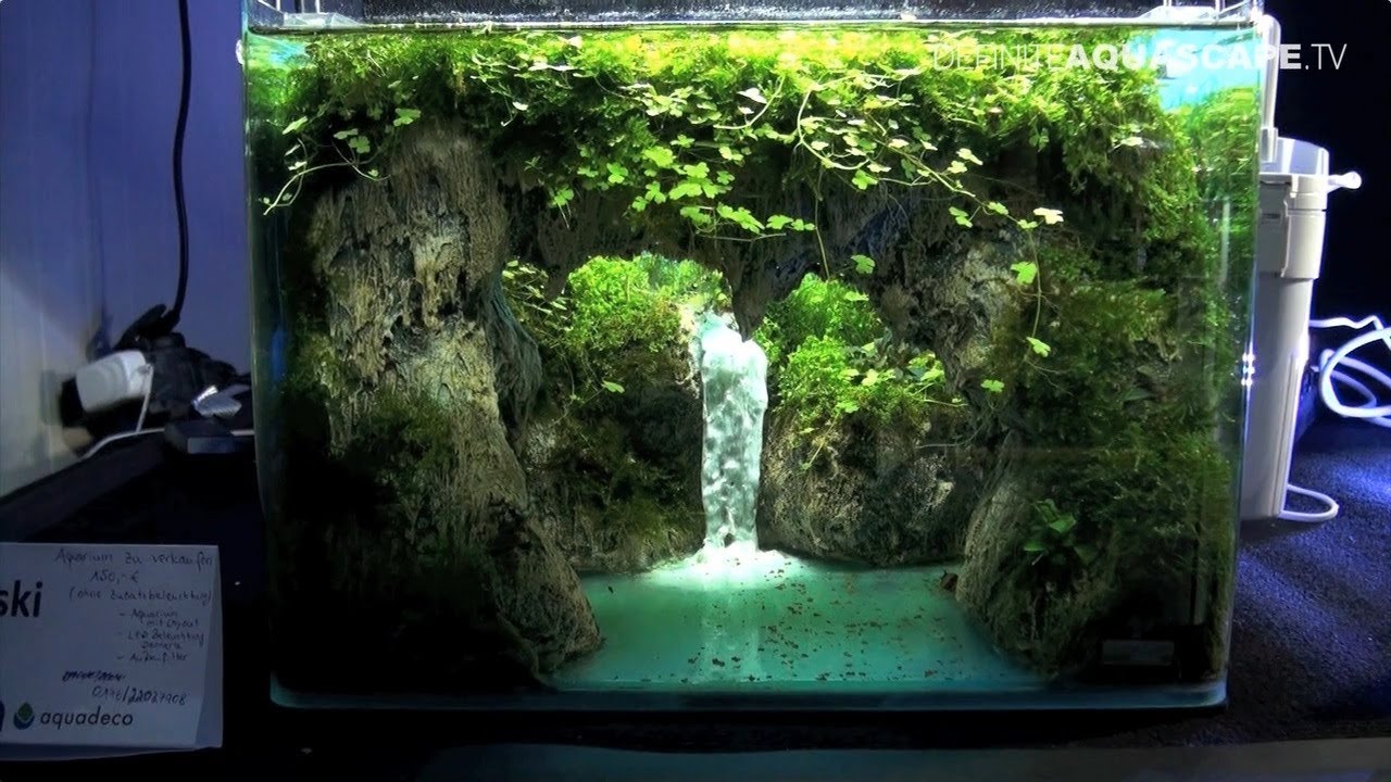 The Art of the Planted Aquarium 2017 - Nano tanks 1-3