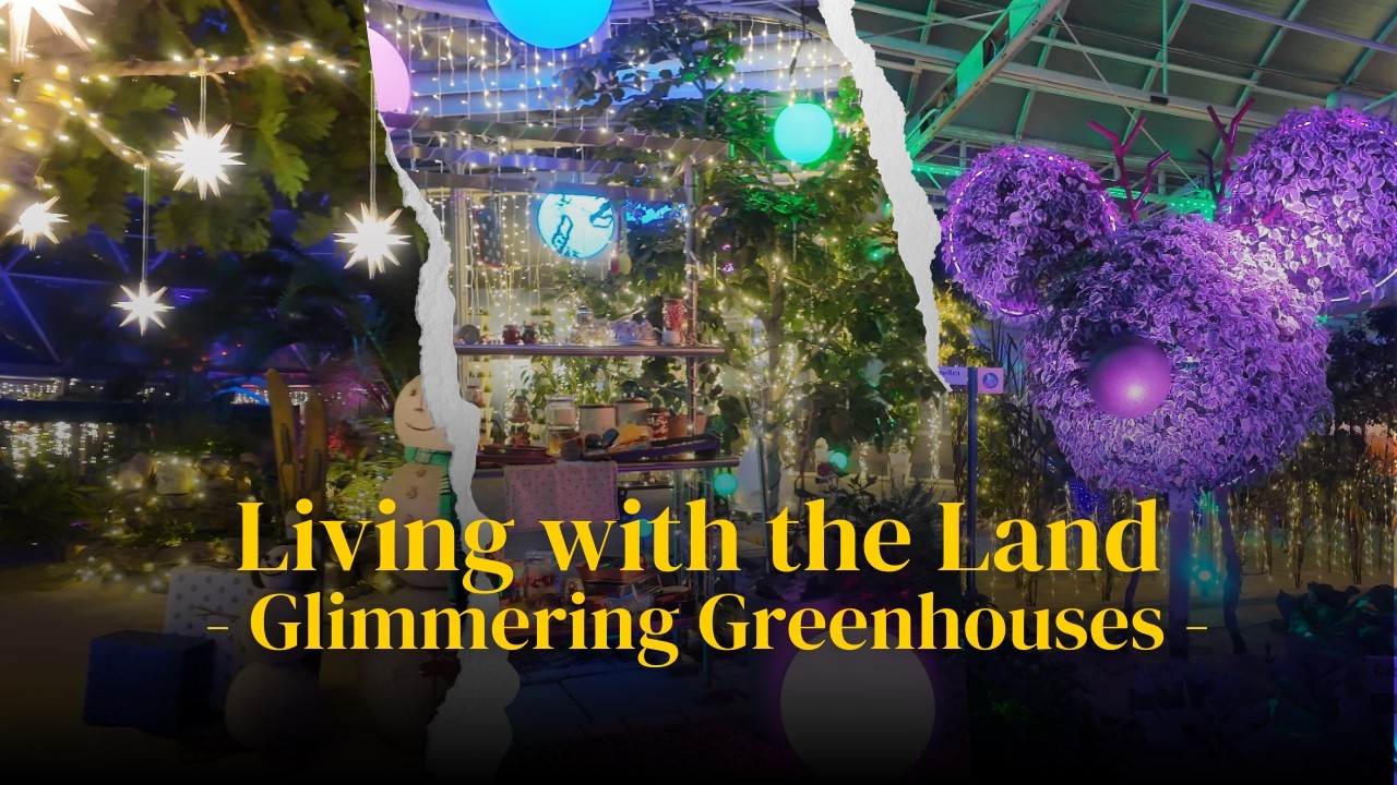 Glimmering Greenhouses at EPCOT | Living with the Land Nighttime Ride