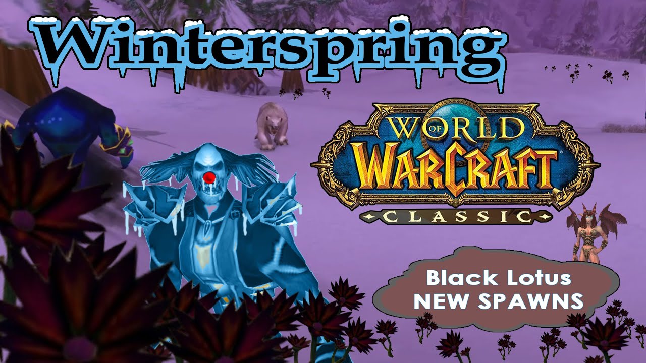 NEW Black Lotus SPAWNS Winterspring - JOKER classic WoW