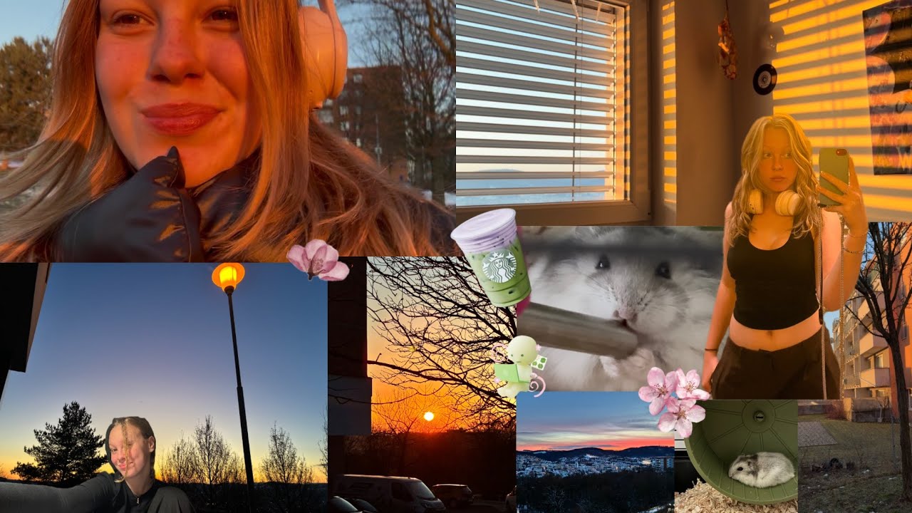 Vlog🧸🎀