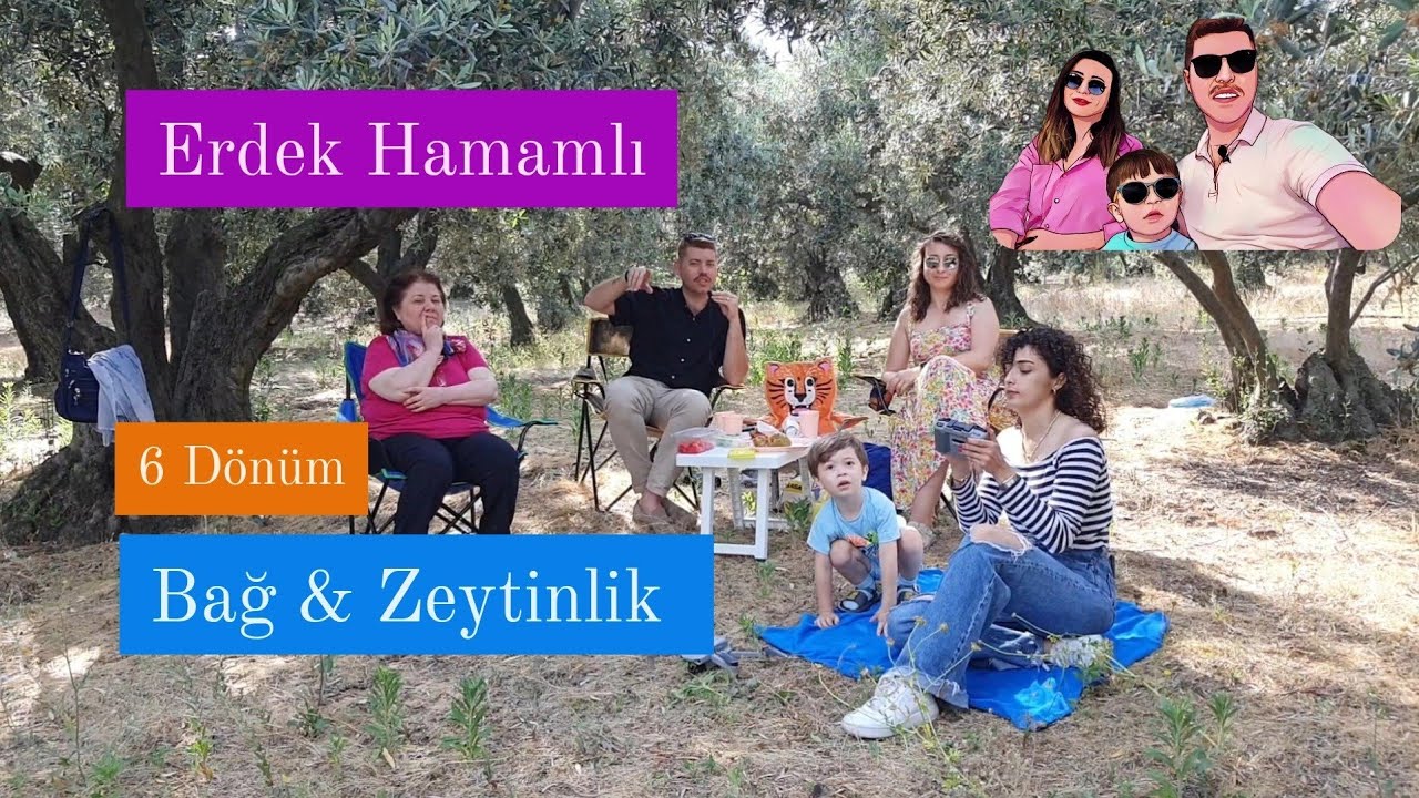 Erdek Hamamlı'da Satılık 6 Dönüm Bağ & Zeytinlik! 7.5m₺