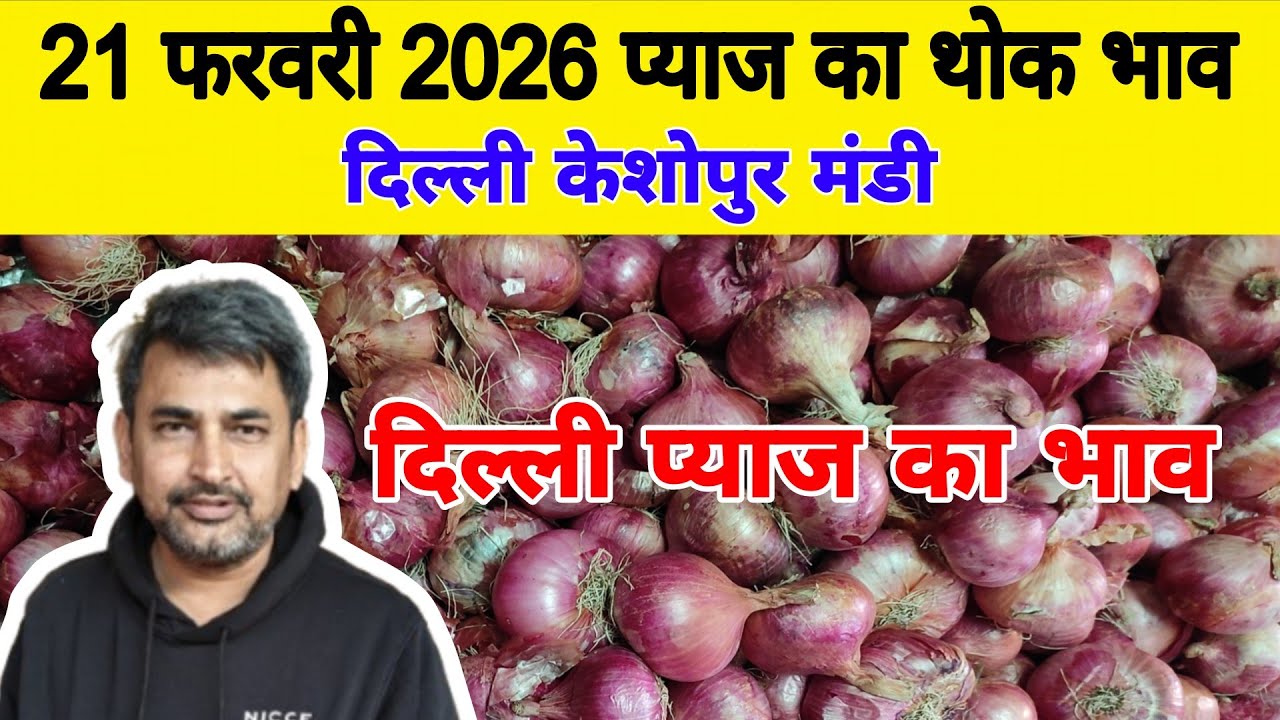 दिल्ली केशोपुर मंडी | 🧅Today onion rates | Today Onion price | Piyaj | 21 Feb 2026 #pyaj #mandiprice