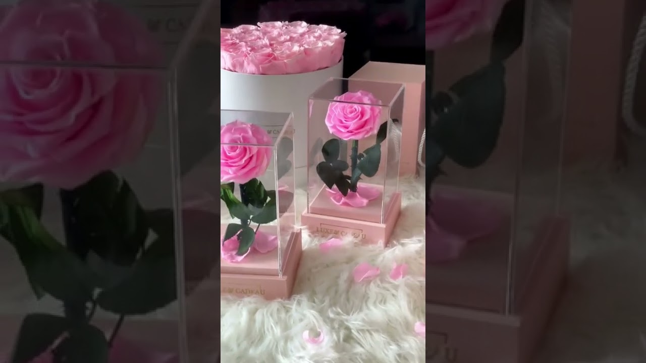 Rose &eacute;ternelle, cadeau maman, cadeau anniversaire #anniversary #cadeau #ideecadeau #anniversaire