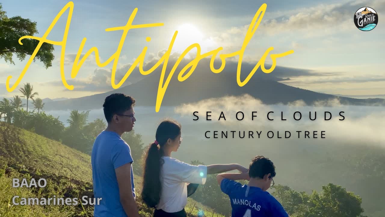 ANTIPOLO | Sea Of Clouds | Century Tree