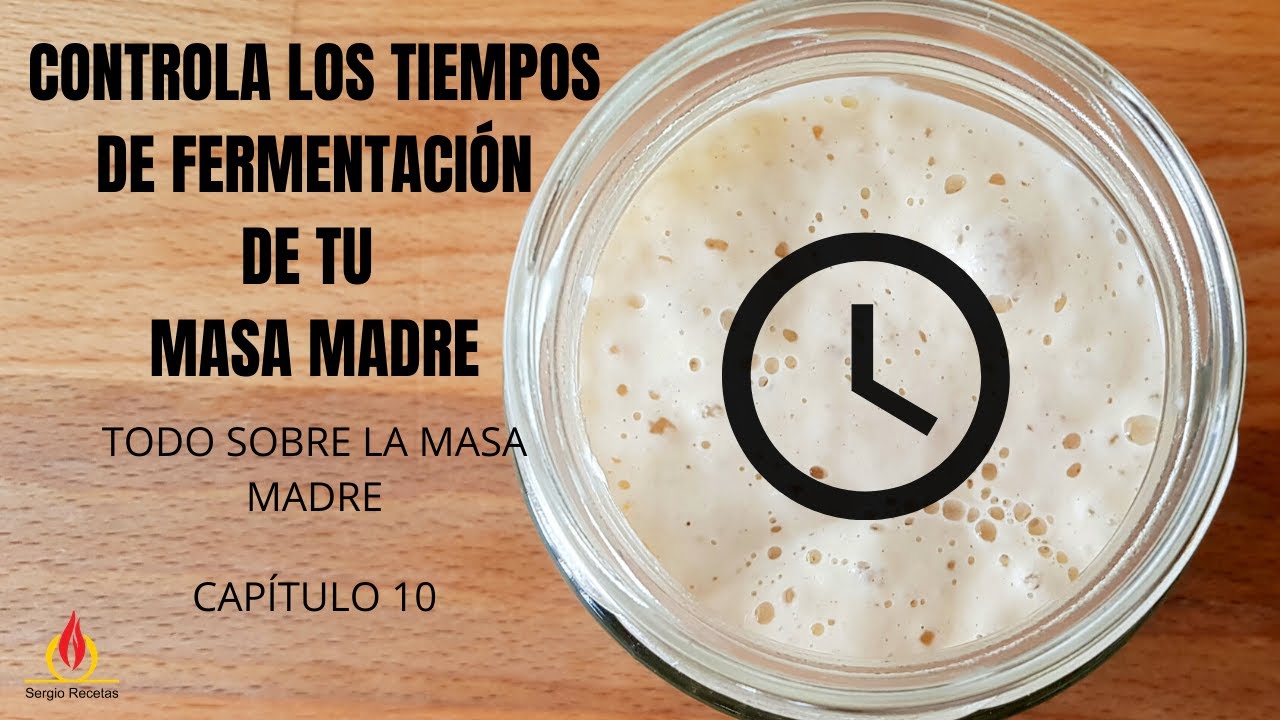 🕘Cómo controlar LOS TIEMPOS DE FERMENTACIÓN DE TU MASA MADRE. Todo sobre la masa madre. Capítulo 10