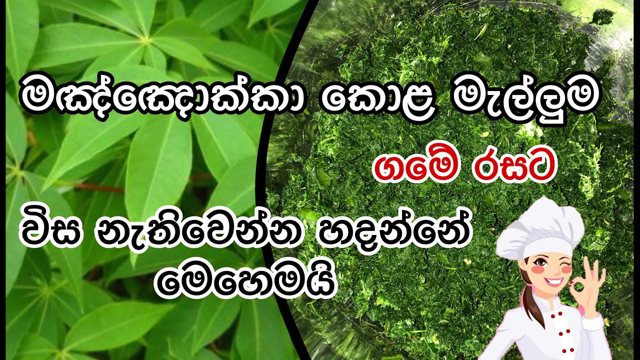 මඤ්ඤොක්කා කොළ මැල්ලුම ගමේ රසට Cassava leaves mallum( manioc leaves)