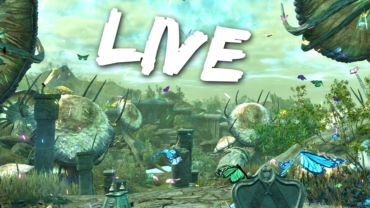 HUNTING FOR ODDITIES (Oblivion Remastered 100%)!