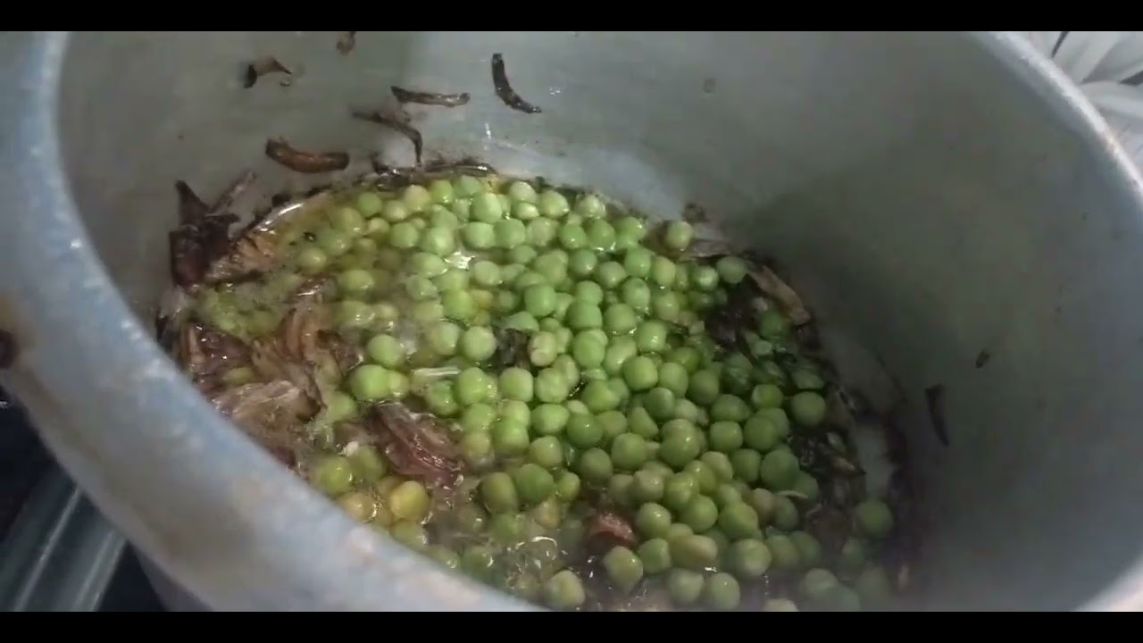 Matarpulao with shami कबाब #food #matarkeema #cookingrecipe #foodrecipe #matarkeema #trend #youtube