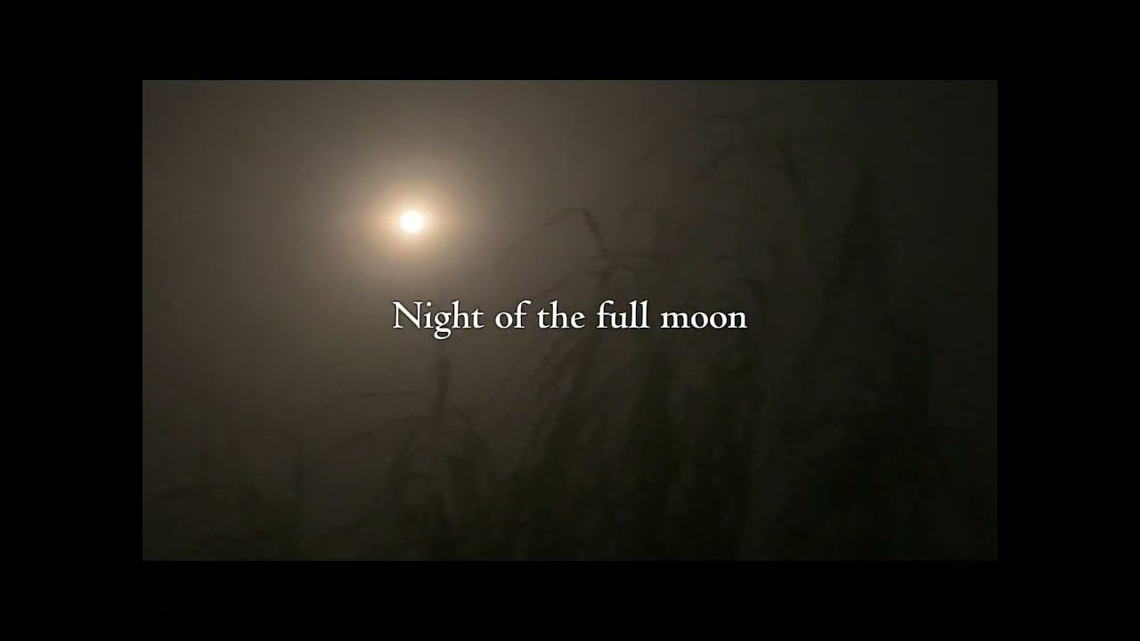 We camped outside for 2days under the full moon 