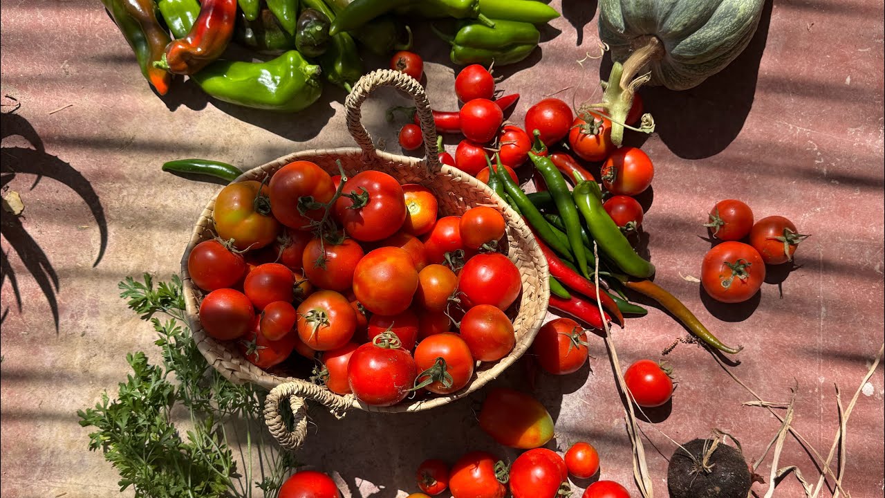 🌱 رحلة داخل عالم التربة الحية
