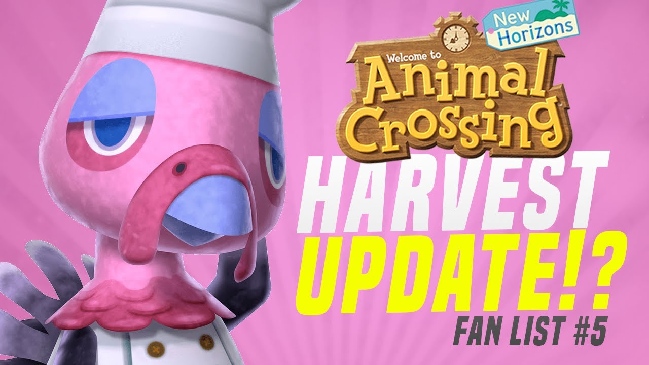 NEW Updates + Features Coming To Animal Crossing New Horizons FANS WANT #5 (Switch Update)