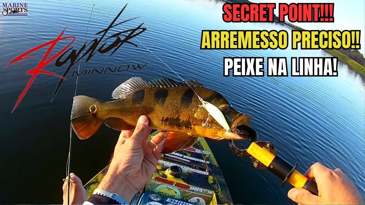 ATENÇÃO no ARREMESSO! RAPTOR MINNOW 70