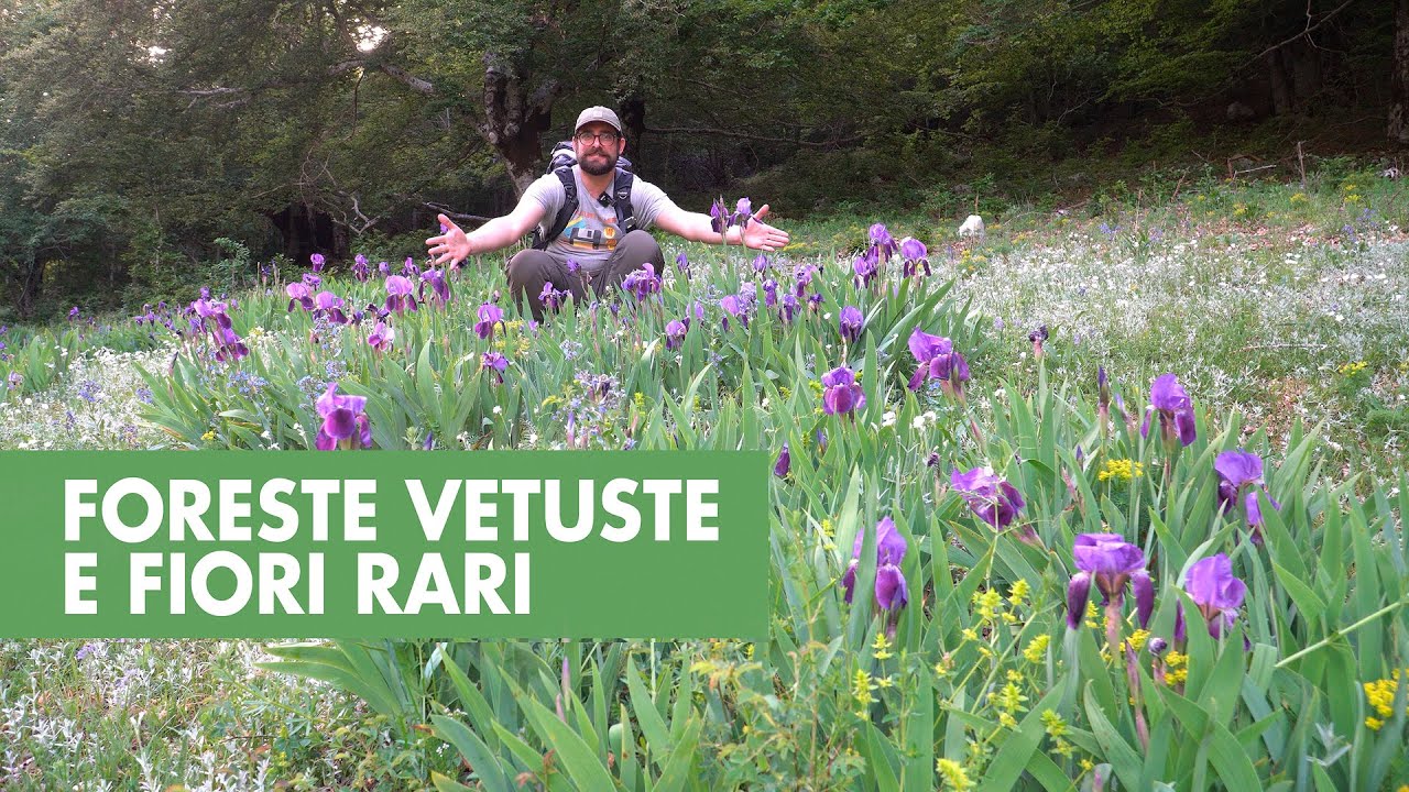 Foreste vetuste e fiori rari