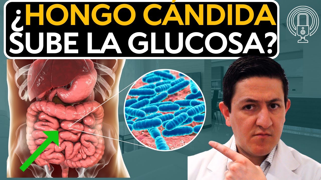 Glucosa alta por Cándida QUE es y COMO detectarla Dr. Antonio Cota Sugar Care