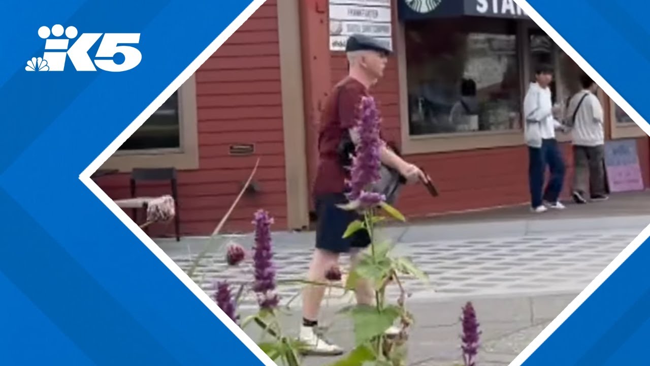 Video shows pedestrians running from waterfront shooter