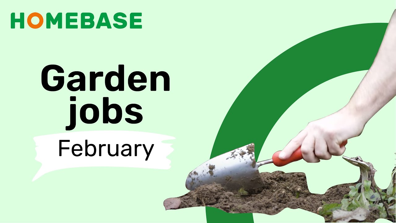 Garden Jobs To Do In February - Garden Diary: February | Garden Ideas & Tips | Homebase