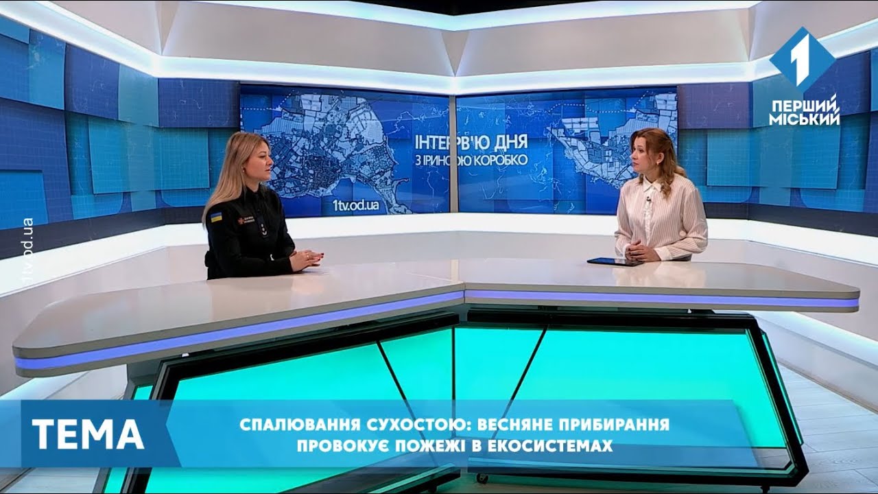 Спалювання сухостою: весняне прибирання провокує пожежі в екосистемах 