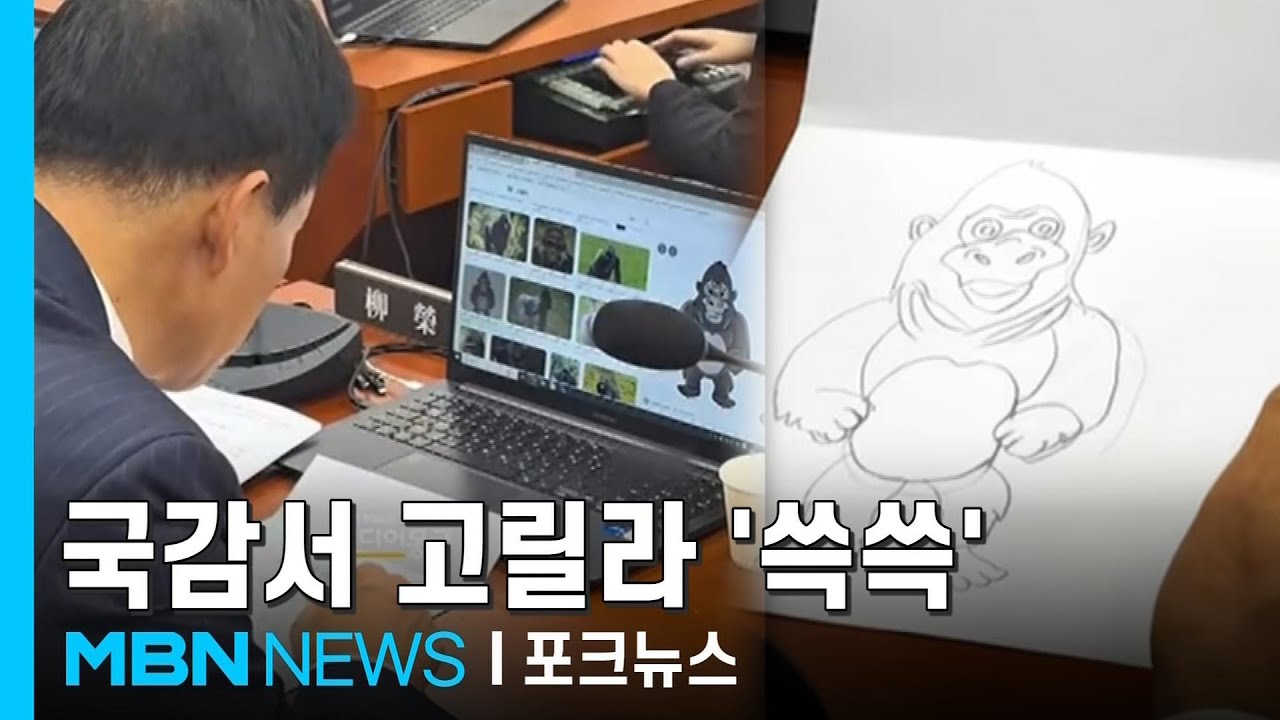 국감 중 그림 그린 유영하&hellip;왜 하필 '고릴라'? [포크뉴스]