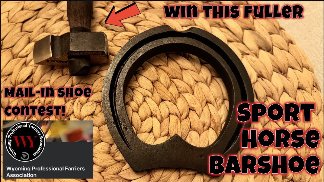 Sport Horse Barshoe for Mail-In Shoe Contest Wyoming Professional Farriers Association