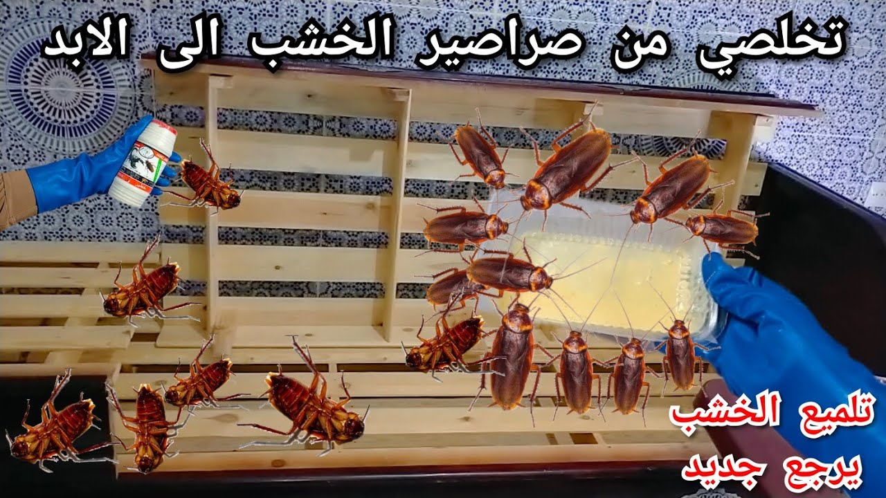 خويت الدار كلها 💪 بيا ولا بيه⛔سراق الزيت راسو قاصح ولاكن جبت ليه التمام ديرو هاد المسحوق تلميع الخشب