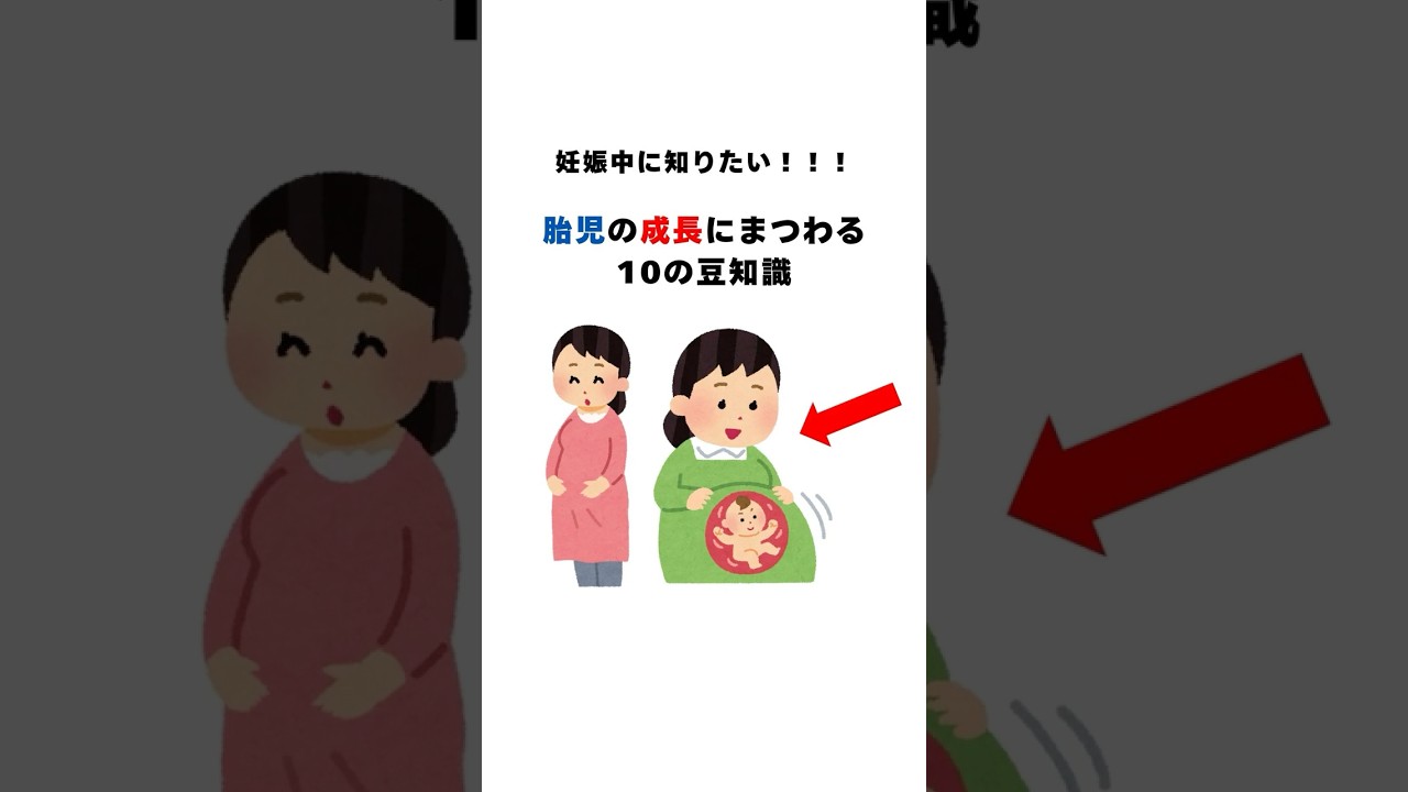 妊娠中に知りたい！胎児の成長にまつわる10の豆知識