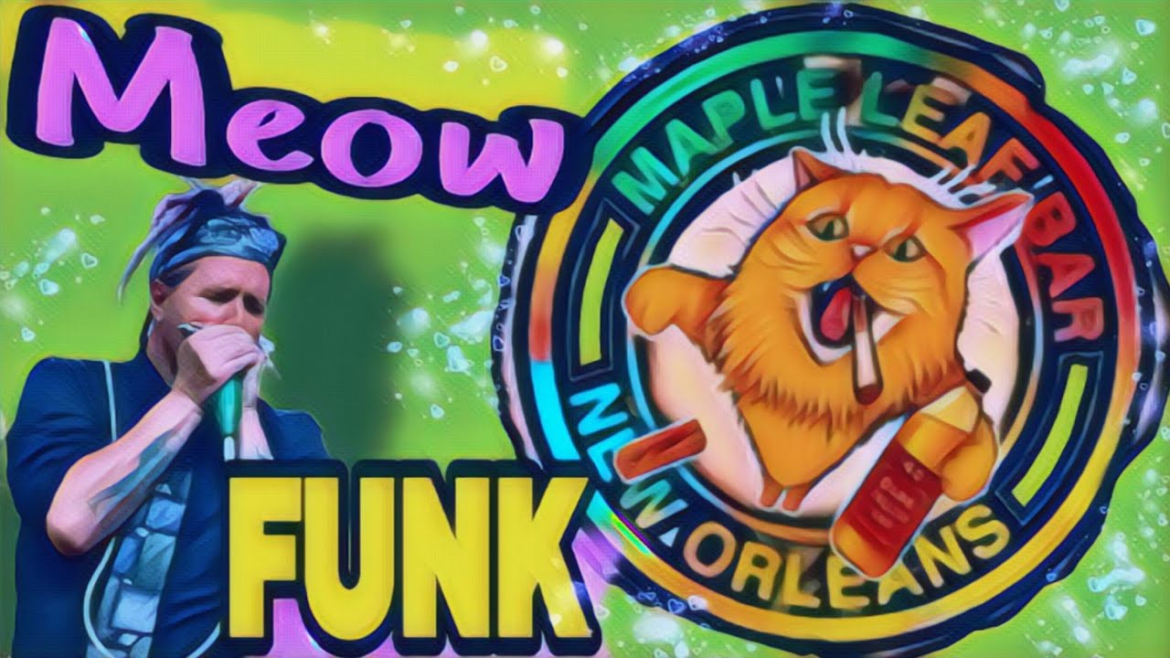 "Soul Serenade"  Meow Funk 2025